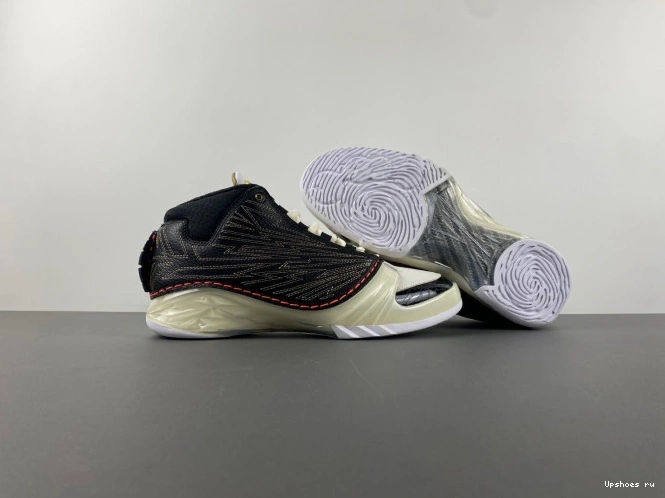 23 TITAN CZ6222-001   Jordan 1226